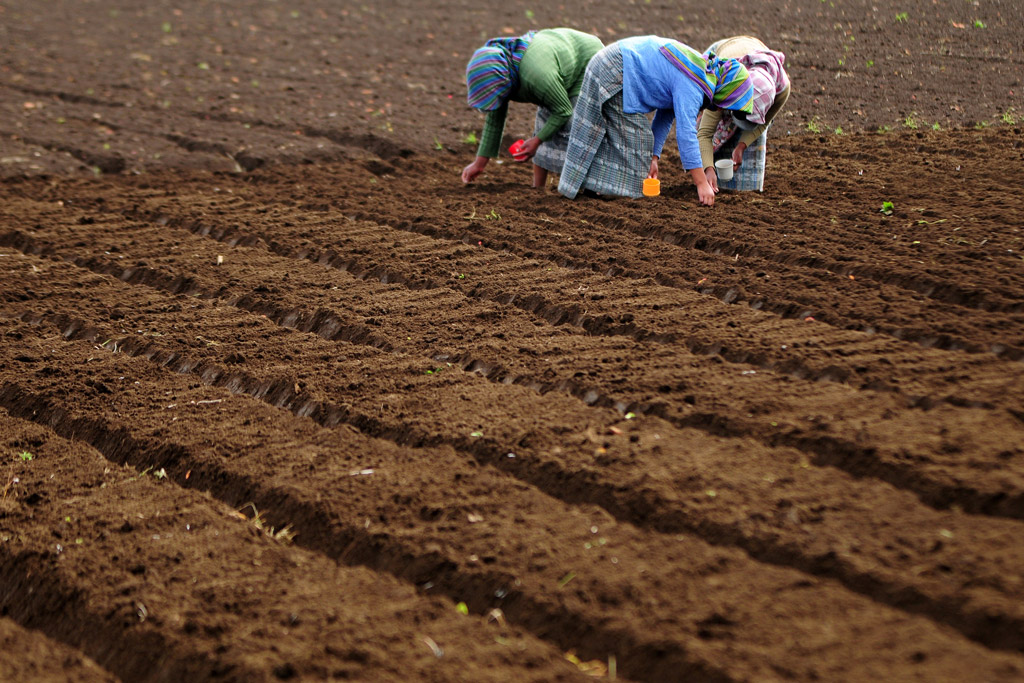 Trung Mỹ Hơn 2 triệu người sẽ cần viện trợ lương thực do tác động của El Nino